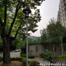 동문넘버원공인중개사사무소 | 래미안에코팰리스(과천주공11단지)