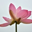 상덕마을 이미지