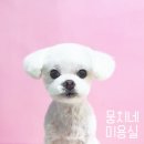 뭉치네 미용실 이미지