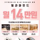 필라마인드