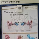 조은소리보청기무주센타
