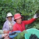 설천면110 이미지