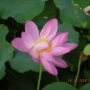 평화동-08 이미지