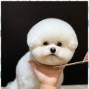 아르테미스학원 이미지