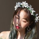 비바레코드 이미지