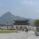씨유양산세종점 | 25.6월 일상 - 피스타치오, 파스타, 길냥이, 우즈, 충남 예산군