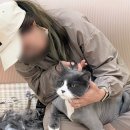 너와나,묘연 이미지