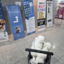별사랑동물병원