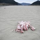 회천식당 이미지