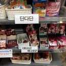 (주)이월드 피터팬오락실 | 자다 보면 언젠가는 웃으며 일어나는 하루가 있어