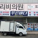 푸른바다 볼테기 이미지