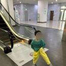 (주)힘내고 | 🌸 행복한 봄 일상과 소소한 다이어트 이야기 (안양천, 남대문 아동복시장)