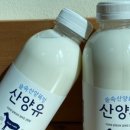 임실 산양유