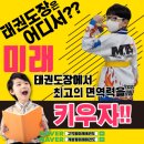 정관장태권도장 이미지