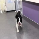 수원-2057 이미지