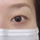 삼희월드프라자 | 어팬드 l 범계역속눈썹펌 손상없는 안양속눈썹 1인샵 후기