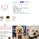 101마리 애견 이미지