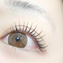 오래쉬(O’LASH) 네이버블로그