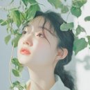 예술사진관 | 전주사진관 오월의 산책 후기 찰나를 예술로 남긴 따뜻한 경험