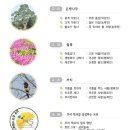 만성초등학교 이미지