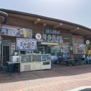 하동맛집 &#39;하옹촌재첩식당&#39;에 다녀온 후기