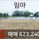 금란동물애견 이미지