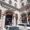 치료멍멍동물병원 이미지