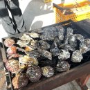 순애민박 이미지