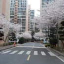 현대아파트 입구 이미지