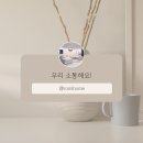 다시사랑받개 이미지