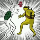 안곡9-2교 | [경북] 청도 <삼계리 계곡>, [대구] <스파크랜드> 짧은 후기