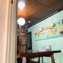 제주유유자적 이미지