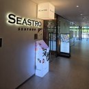 씨 아일랜드 | [국내여행] 아일랜드리솜 식당 씨스트로 일식당 디너정식 솔직후기