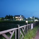 새동네다방 이미지