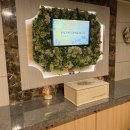 펫바라기 이미지