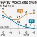 "100만 원도 못 벌어" 하루 멀다 폐업, 핵심상권 1층도 '텅텅'..최악의 상황 이미지