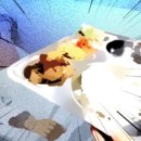 청원유치원 이미지