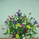 밀드플레 이미지