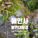 해인사터미널주차장화장실 | 합천 해인사 팔만대장경 여행 후기 &amp; 유용 정보 정리