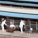 우리조류농장 이미지