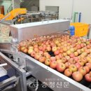 보은군 과수거점산지유통센터 이미지