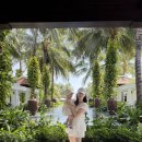 K-1 당구장 | 👶🏻✈️🩵돌아기와 나트랑여행 | 더아남 캄란 돌아기와 숙박후기•꿀팁•수영장•놀거리•먹거리