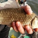 사계지낚시터 이미지