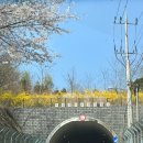 [26.04]둘째 주 인턴 일지 ☼