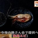 따식이네 이미지