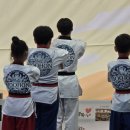 늘품태권도 이미지