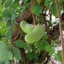 해병농원 이미지