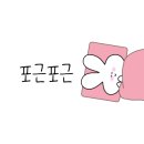 더다오스 이미지