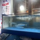 평택회수산 - 평택시 평남로 858 | 평택회수산