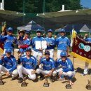 고령군청 이미지